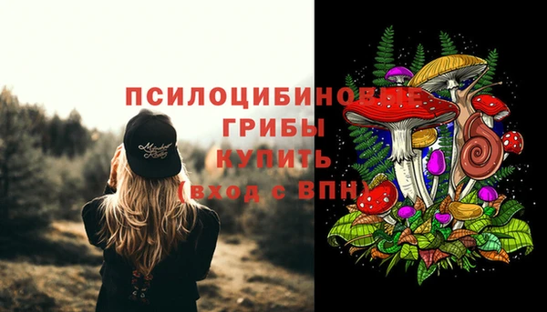 дживик Арсеньев
