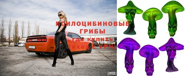 дживик Арсеньев
